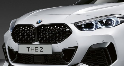 BMW Front Ornamental Grille, High-Gloss Black