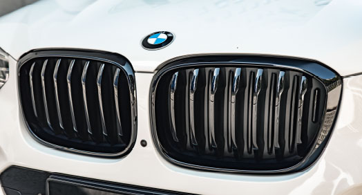 BMW Front Ornamental Grille, High-Gloss Black